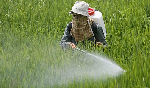 نصف الوفيات بالتسمم في المغرب بسبب مبيدات حشرية