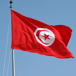 تونس.. تعديل وزاري أم إعادة هيكلة؟ 