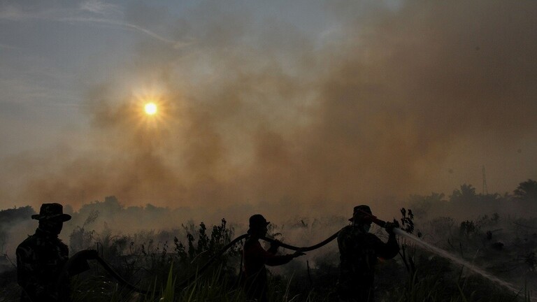 حرائق الغابات إندونيسيا