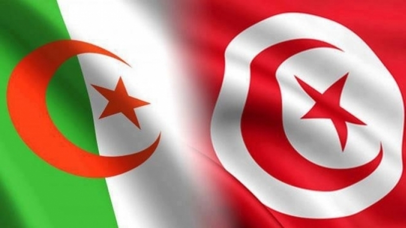 تضاعف حجم الصادرات التونسية نحو الجزائر بأكثر من مليار دينار