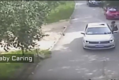 فيديو صادم .. نمر يختطف امرأة صينية ويقتلها أمام أنظار مرافقيها