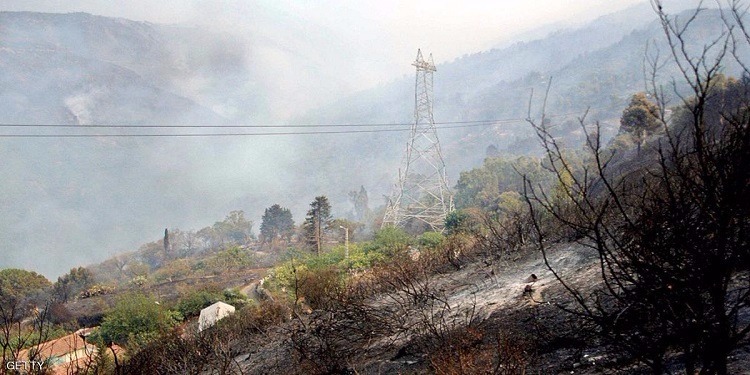 الجزائر: حرائق تتسبب في إتلاف مئات الهكتارات من الغابات