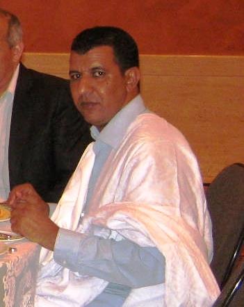 محمد محمود أبو المعالى