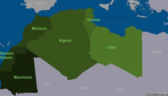 الجزائر الأولى..أكبر 10 دول عربية مساحة