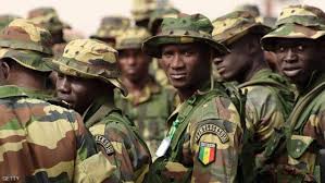 بالفيديو كيف استسلم الجيش "الغامبي" للجيش السنغالي
