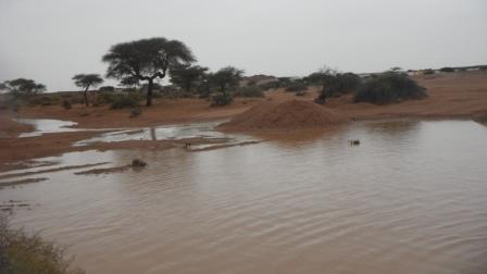 تساقط كميات من الامطار على مناطق متفرقة من البلاد