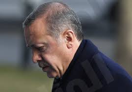 أردوغان: ليس ملائما تحديد من "الأكثر همجية" إسرائيل أم هتلر