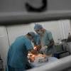 الجزائر: اليأس من الخدمات الطبية يعمل على ازدهار الشعوذة