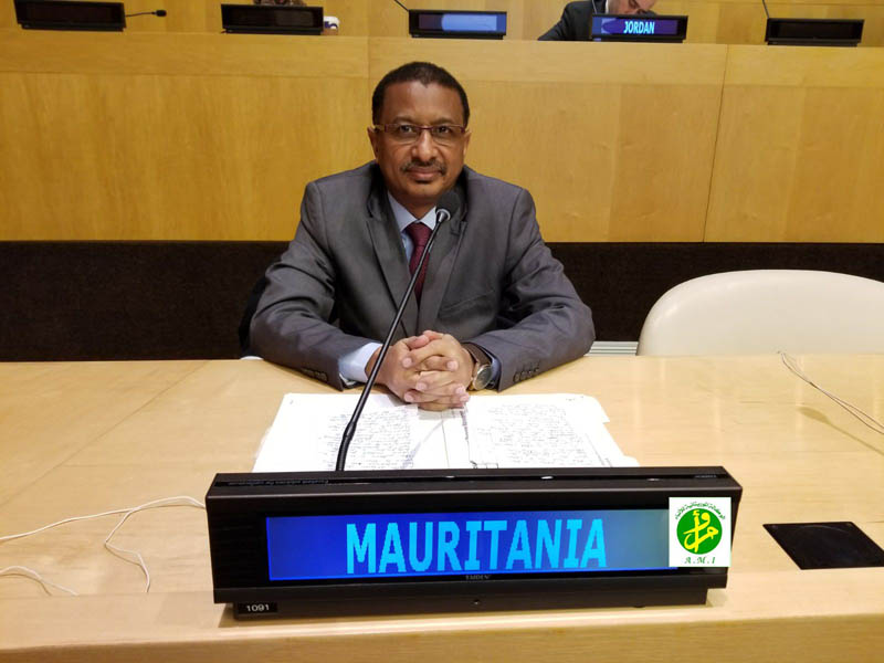 PNUD الأممي يعتمد برنامج موريتانيا للفترة 2018-2022