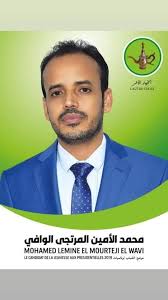 محمد الامين المرتجي الوافي