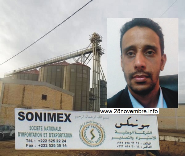 مامونى