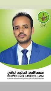 محمد الامين المرتجي الوافي