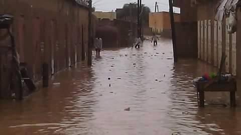 28 نوفمبر: ينشر صورا من داخل " فم لكلية " تكشف عن حجم الكارثة