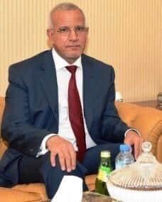 سيد محمد حنن، سفير سابق