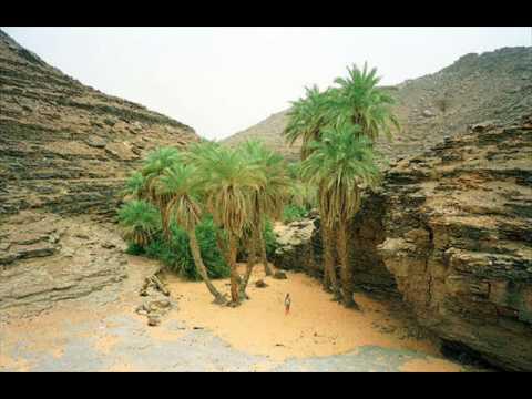 أطار: يستقبل أول رحلة سياحية إلى أرض الوطن بعد الحظر الأخير