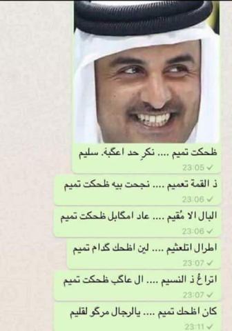 بعض التبريعات التى قيلت في حق الأمير